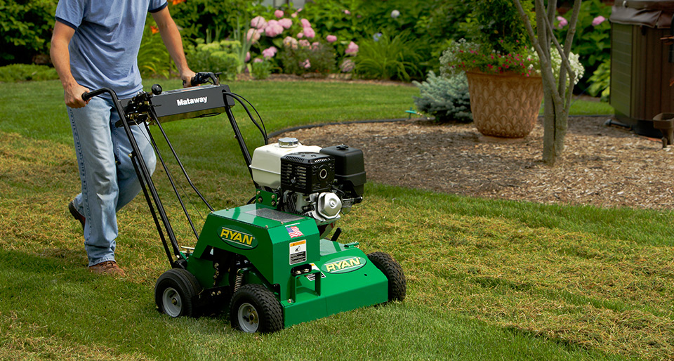 Lawn care services Elk Grove Village