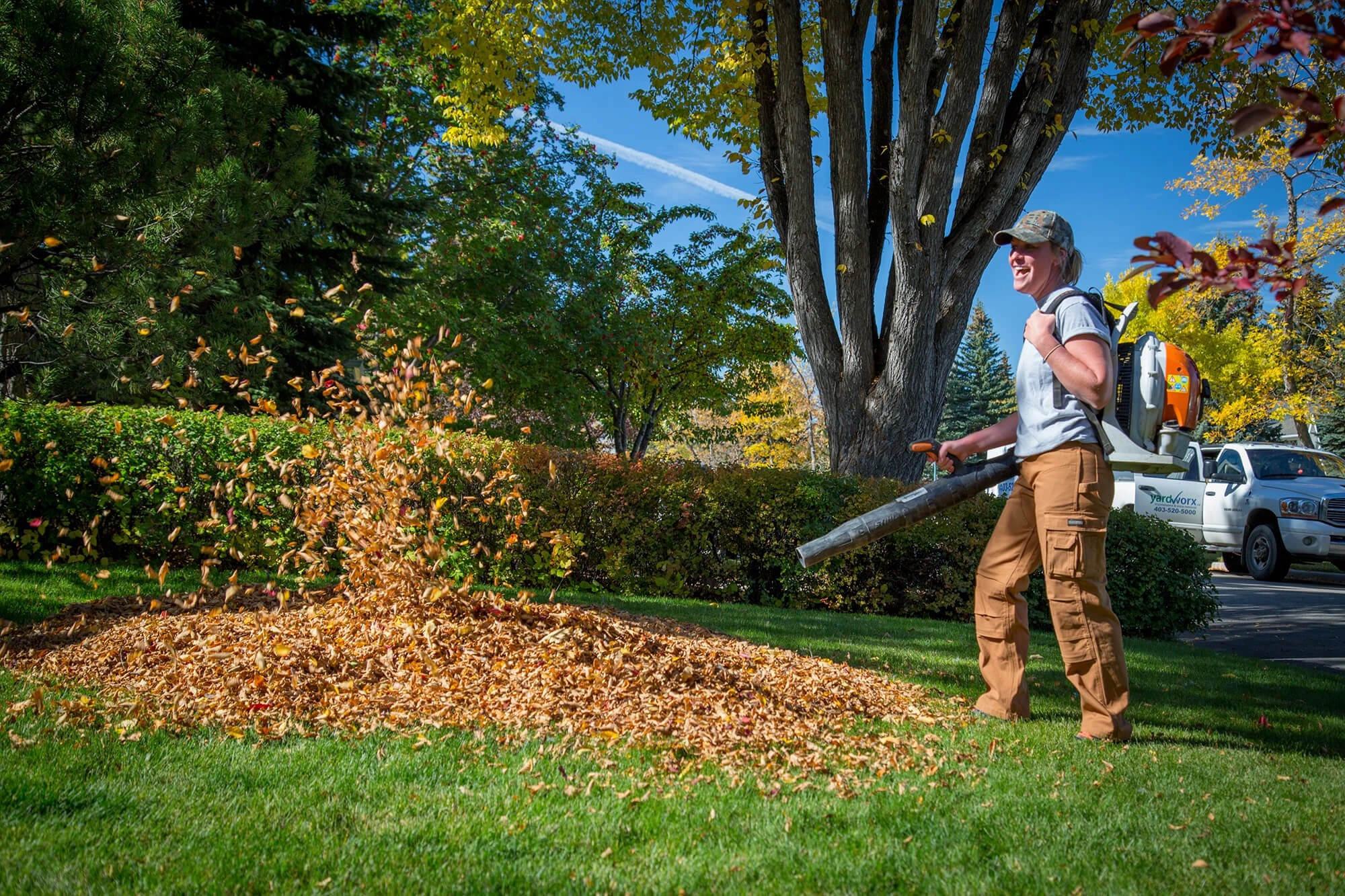 Fall clean up services near me